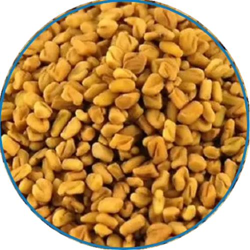 Salab-Misri