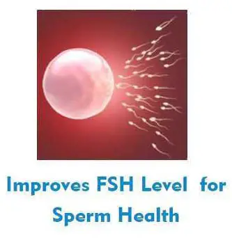improves-fsh